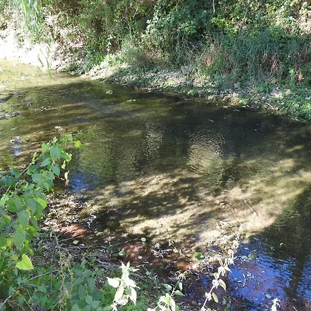 Semesterbostad Gite Tout Inclus Avec Parc, Proche De Joinville, Pour 10 Personnes Et Activites Variees - Fr-1-611-102 *
