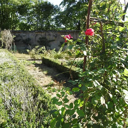 Gite Tout Inclus Avec Parc, Proche De Joinville, Pour 10 Personnes Et Activites Variees - Fr-1-611-102 Semesterbostad Bettaincourt-sur-Rognon