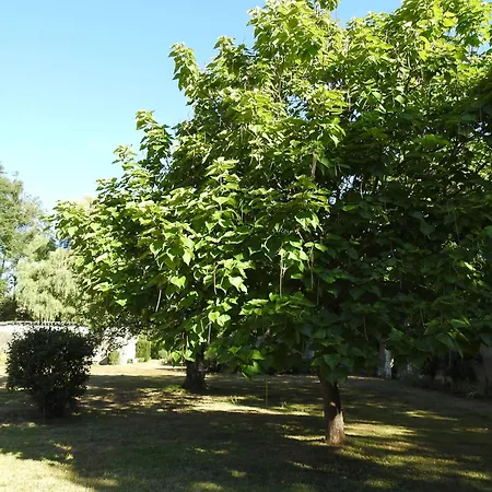 Semesterbostad Gite Tout Inclus Avec Parc, Proche De Joinville, Pour 10 Personnes Et Activites Variees - Fr-1-611-102 Bettaincourt-sur-Rognon