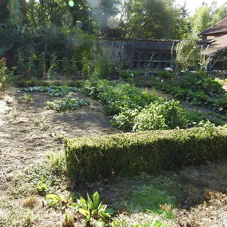 Gite Tout Inclus Avec Parc, Proche De Joinville, Pour 10 Personnes Et Activites Variees - Fr-1-611-102 Bettaincourt-sur-Rognon