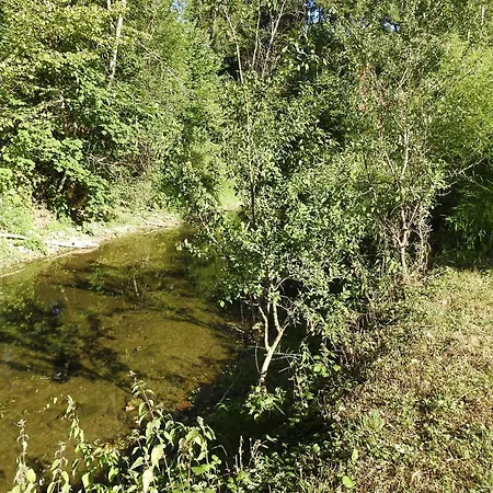 Gite Tout Inclus Avec Parc, Proche De Joinville, Pour 10 Personnes Et Activites Variees - Fr-1-611-102